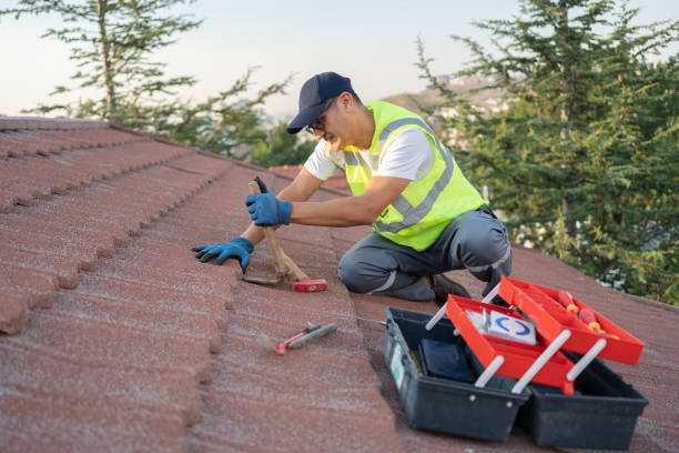 Roof Gutter Cleaning in Grayson, CA